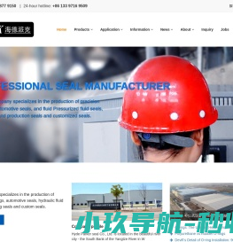 全氟O型圈