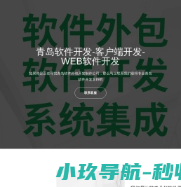 青岛软件外包公司