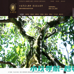 曲则全