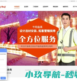 盐蒸房安装价格