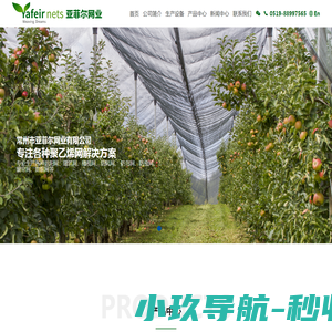 天虫资本管理有限公司