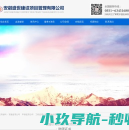 安徽盛世建设项目管理有限公司