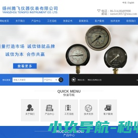 扬州腾飞仪器仪表有限公司