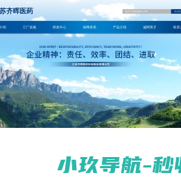江苏齐晖医药科技股份有限公司