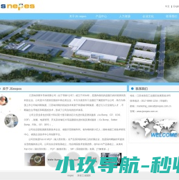 江苏纳沛斯半导体有限公司