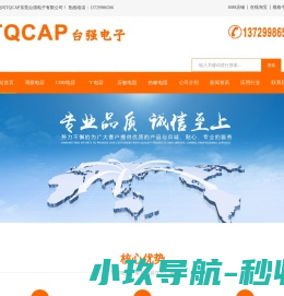 东莞台强电子有限公司