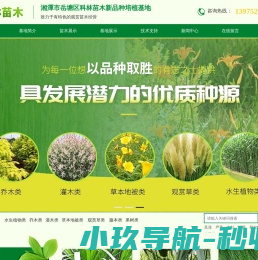 湘潭科林苗木新品种培植基地
