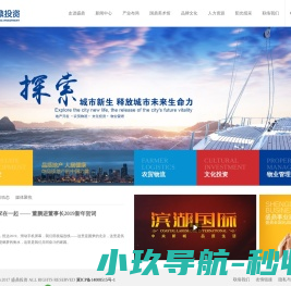 河北盛鼎投资有限公司