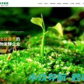 阜丰集团