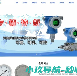 感控科技（河北）有限公司