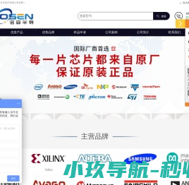 深圳市诺森半导电子有限公司