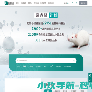 96信息网