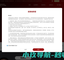 深圳市金文网络科技有限公司