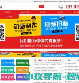 新中金刚