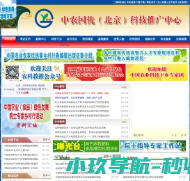 耐鹏智能锁