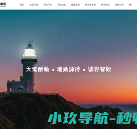 天瑞集团
