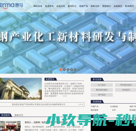 恩马（集团）有限公司