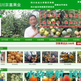 成都天府新区宗富水果种植专业合作社