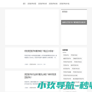 喜鸽小宝