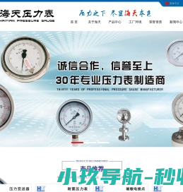 压力表厂家