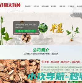 菏泽市润龙航天育种有限公司半夏种子