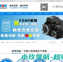 安徽皖南电机股份有限公司