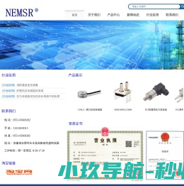 NEMSR合肥新衡