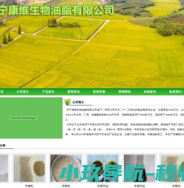 济宁康维生物油脂有限公司-主要经营米糠毛油,米糠粕,