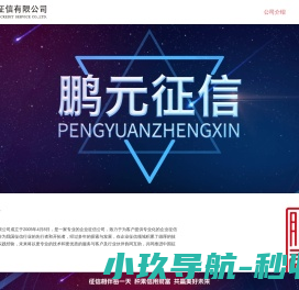 公司介绍