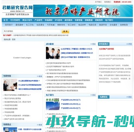 君略研究报告网