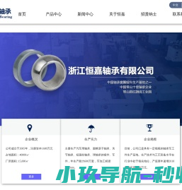 浙江恒嘉轴承有限公司