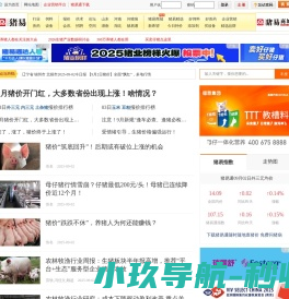 猪易网