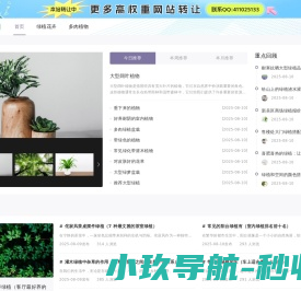 青伊湖绿化苗木种子合作社