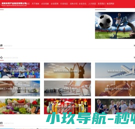 湖南体育产业集团有限公司