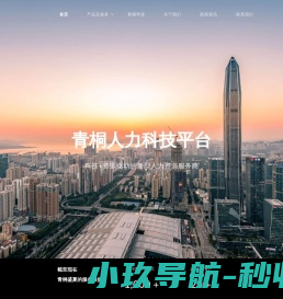 青桐盛夏科技有限公司