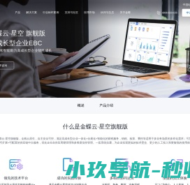 金蝶云星空