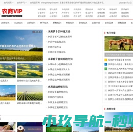 农尚贵宾网
