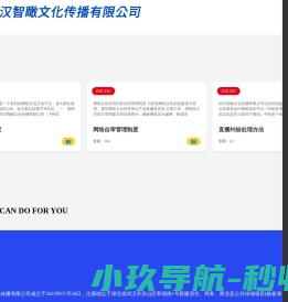 武汉智瞰文化传播有限公司