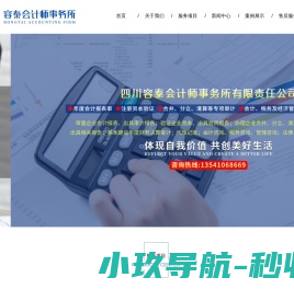 [容泰会计师事务所]审计报告
