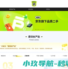 拍拍