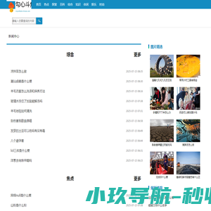 软件开发