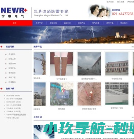 上海宁睿电气有限公司