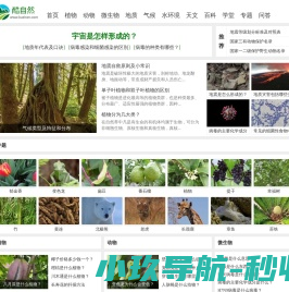 酷自然