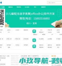 野牛程序员