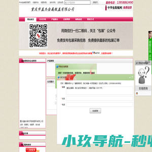 网站截图