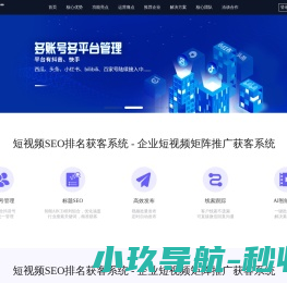 短视频SEO排名获客系统