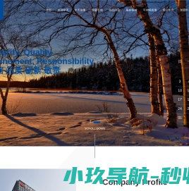 中天控股集团有限公司
