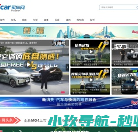 买车网