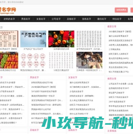 龙盛担保