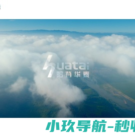 山东阳谷华泰化工股份有限公司